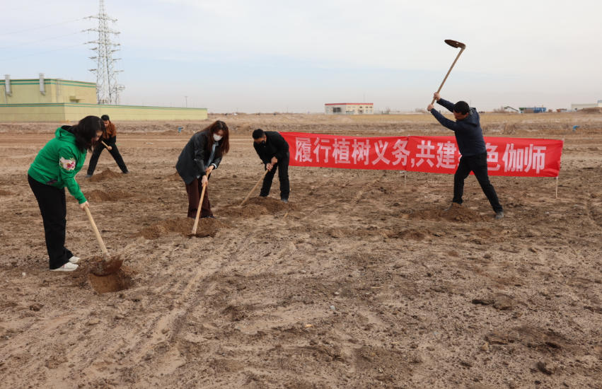 ٤ʦ�ط�Ժ�����󴺷�ֲ���� ͬ�Ĺ�����̬��