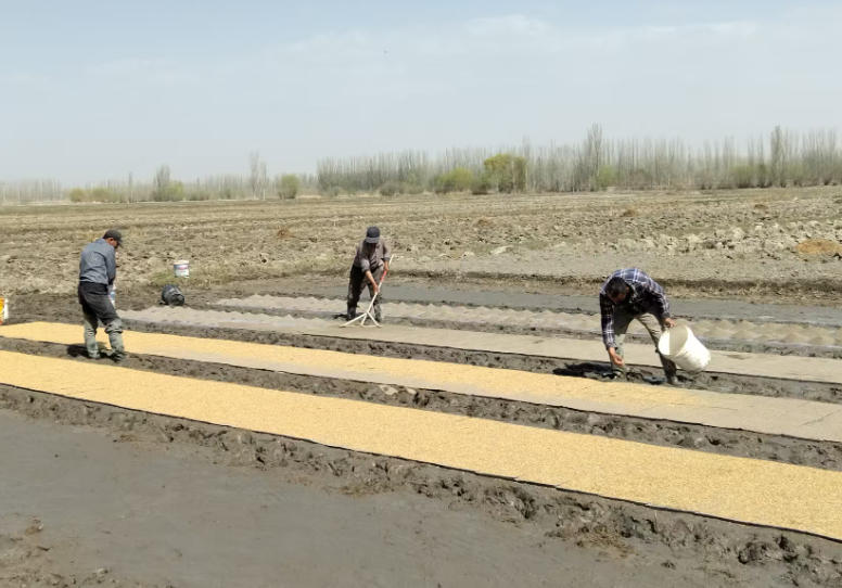 ��ץũʱ����æ ������ʳ���ջ�