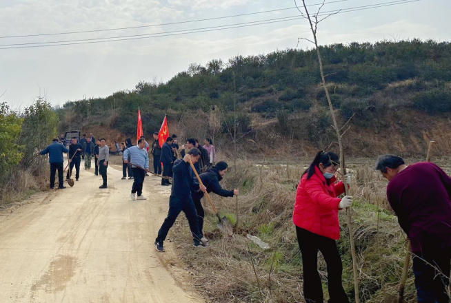 ֲ������ ����δ��