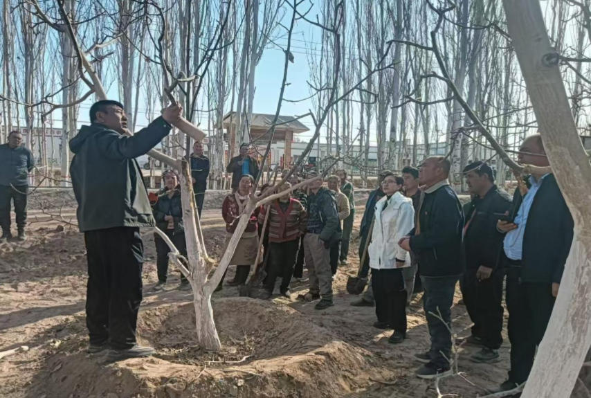 �����޼�����������ѵ ����Ⱥ�ڷ������