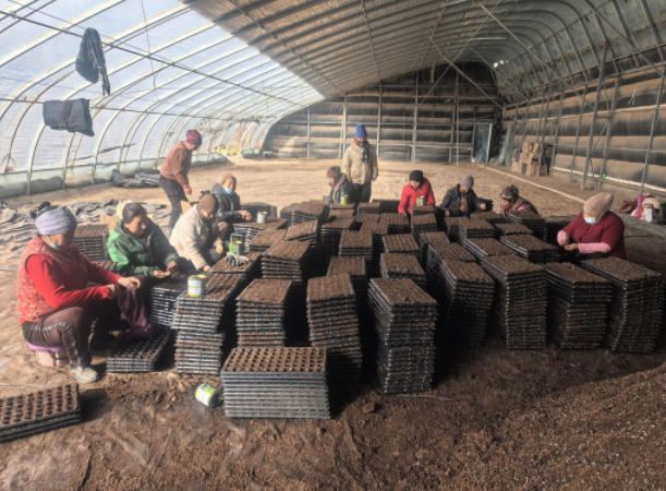 �۽���ɫ��ֲ������ �˴����������ظ��ܴ�������